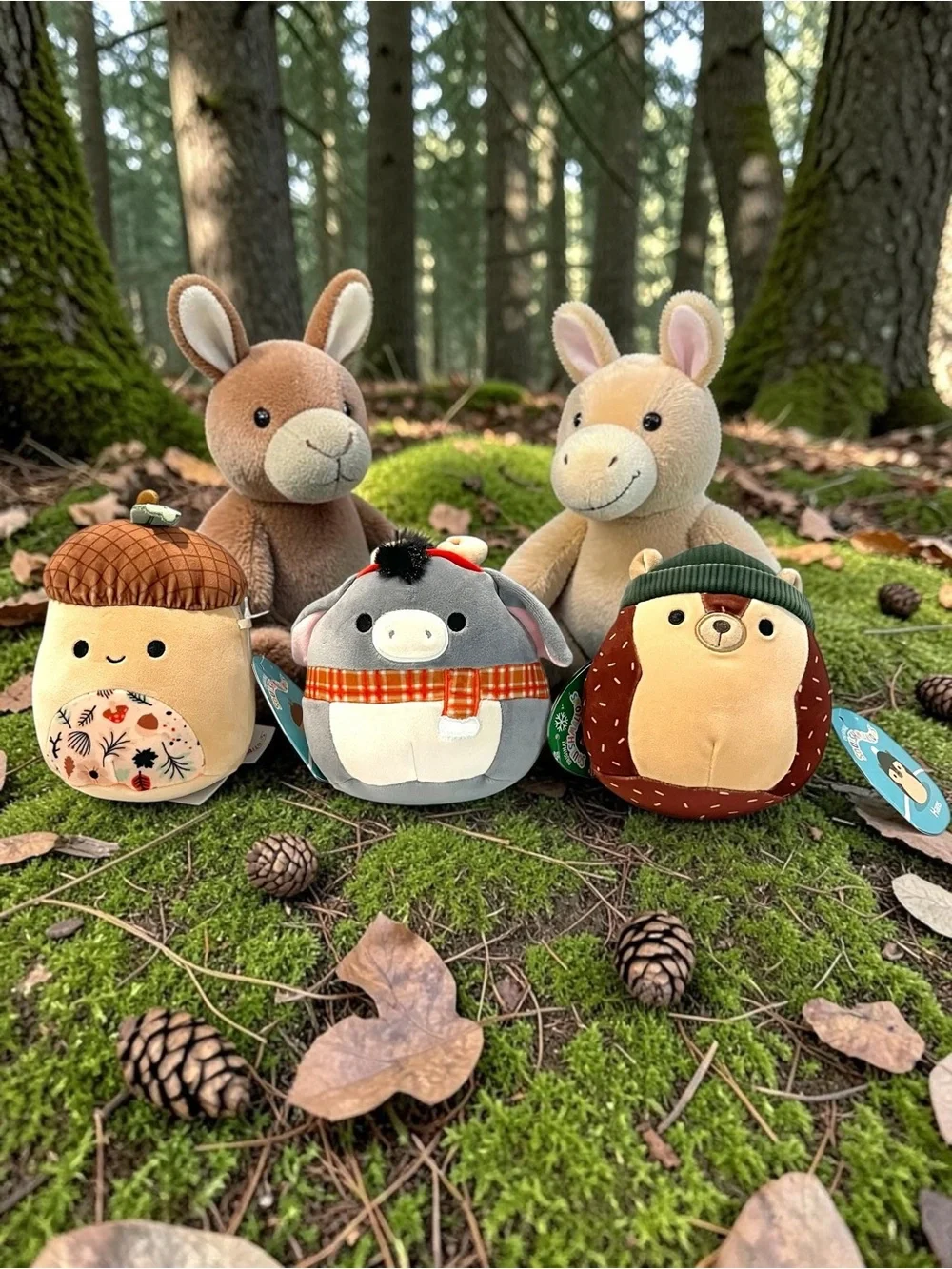 Squishmallows Woodland Lot 3 Mac Acorn Jason Donkey Hans Hedgehog NWT Plush 5”